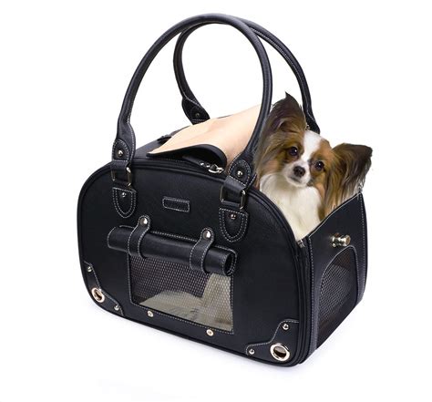 designer handbag for small pet.